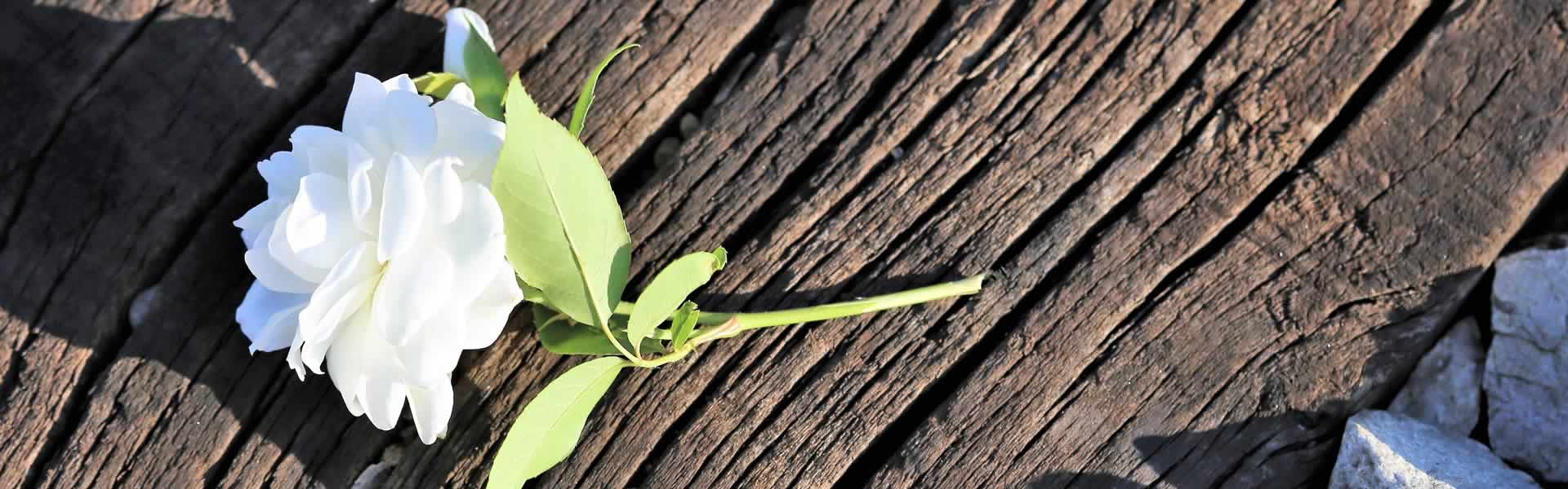 Decorazioni floreali e addobbi funebri